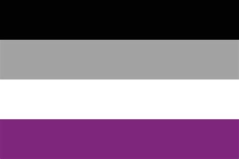 Asexual Pride Flag International Asexual Pride Flag 24100387 Vector