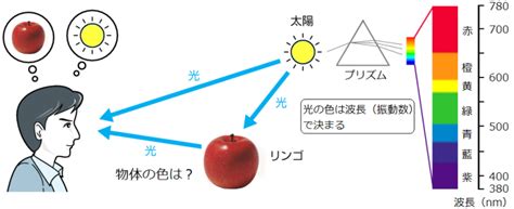 光と色と 2012年3月