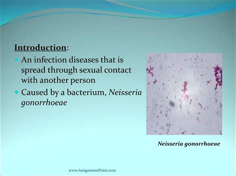 Topic Gonorrhea Diseases Ppt Download