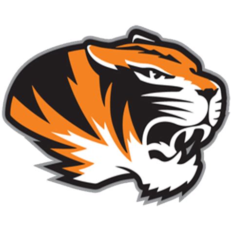 Delano Tigers Girls Lacrosse (Delano, MN) - High School On SI