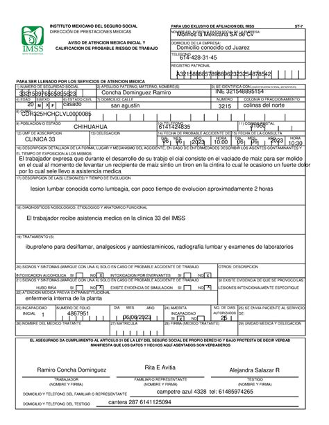 Formato St Lleno Problema Tarea Instituto Mexicano Del Seguro Social