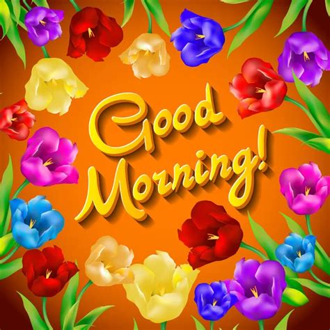 5257 Good Morning Card Vector Images Good Morning Card Illustrations Depositphotos