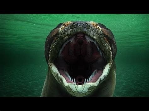 Titanoboa: Monster Snake (Full Episode) - YouTube