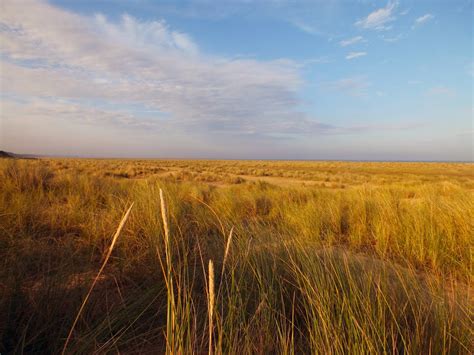 Kessingland Beach - Photo "kessingland beach" :: British Beaches