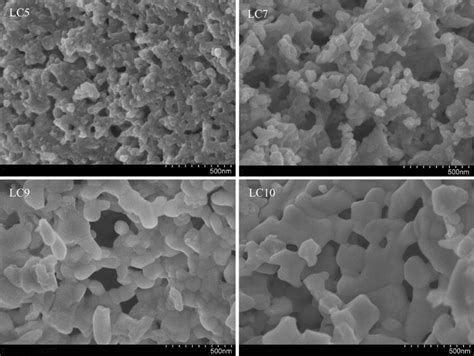 Hr Sem Images Of Lco Perovskite Samples Download Scientific Diagram