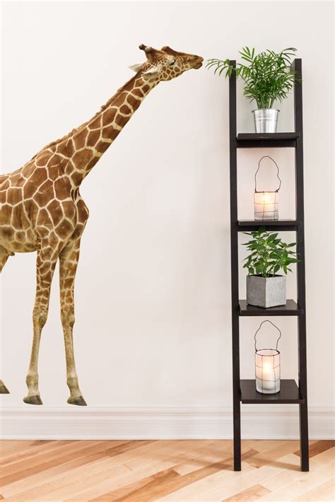 Giraffe Wall Decal Giraffen Wandtattoo Bilderwelten Decor Trends