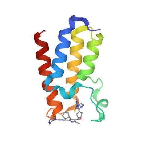 Rcsb Pdb 7qye Baz2a Bromodomain In Complex With Acetylpyrrole Derivative Compound 78