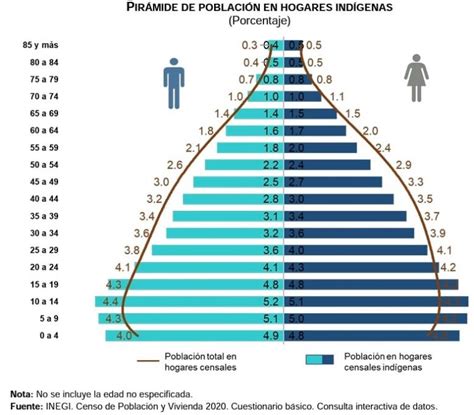 ESTADÍSTICAS A PROPÓSITO DEL DÍA INTERNACIONAL DE LOS PUEBLOS INDÍGENAS