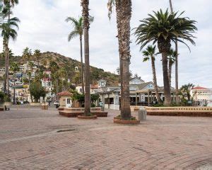 15 Best Catalina Island Tours To Take In 2025