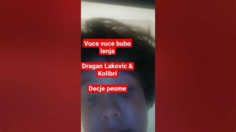 Dragan Lakovic And Kolibri Vuce Vuce Bubo Lenja Youtube