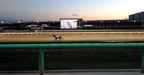 船橋競馬【🔥👊🏇ss激熱勝負🏇👊🔥】530（木）【11r】短夜賞（準重賞） （発走時刻2015）🕵️‍♂️今週の船橋の傾向分析付📈｜さやだま