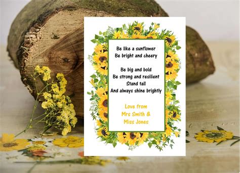 Class Pupil Seeds Sunflower Frame Blooming Memories