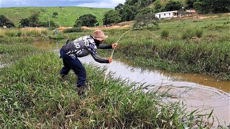 Aqui Tem Peixes Gigantes Peguei Um Gigante Na Varinha De Bambu O