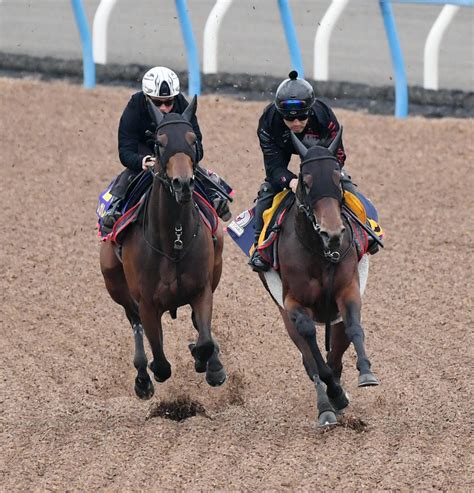 ホープフルs覇者レガレイラは北村宏で皐月賞1週前追い切り ルメール不在で鞍上未定 3歳馬特集 競馬写真ニュース 日刊スポーツ