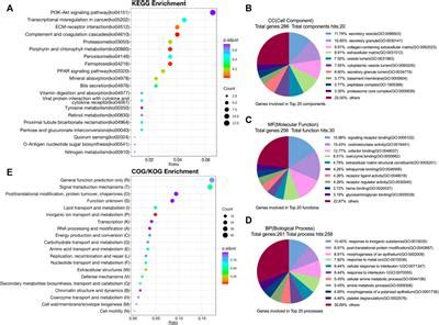 Frontiers Integrated Analysis Of Transcriptomics Proteomics And