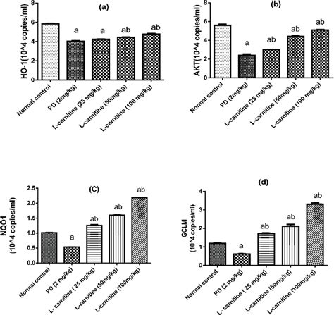 Effect Of Treatment With L Carnitine On Lung A HO 1 And B AKT C