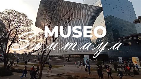 Estos Son Los Atractivos Del Museo Soumaya 🏛️ El David Y La Piedad