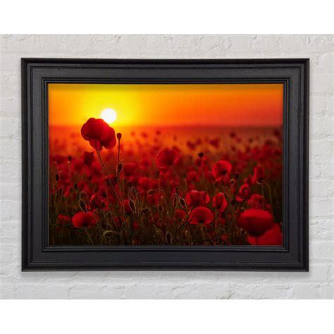 Ebern Designs Mohnblumen Im Sonnenuntergang Rot Druck Wayfair De