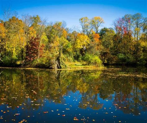 9 Great Spots to Enjoy New Jersey Fall Foliage in 2022