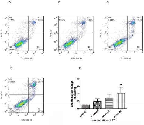 Protective Role Of Autophagy In Triptolide Induced Apoptosis Of Tm3 Leydig Cells