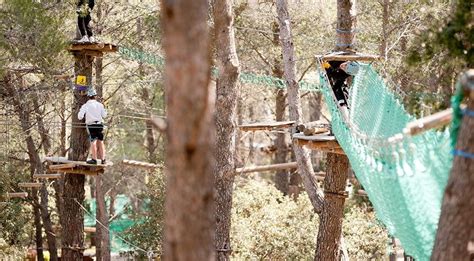 Le Royaume Des Arbres Est Un Parc Avec Des Parcours Aventures Des