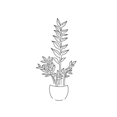 Premium Vector Vector Illustration Drawing Contour Line Home Plant