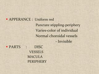 Fundus examination | PPT