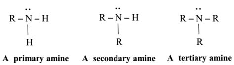 Types Of Amines