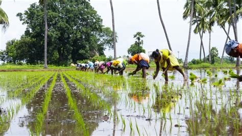 Rural Development Is The Key To Real Development In India Greenstories