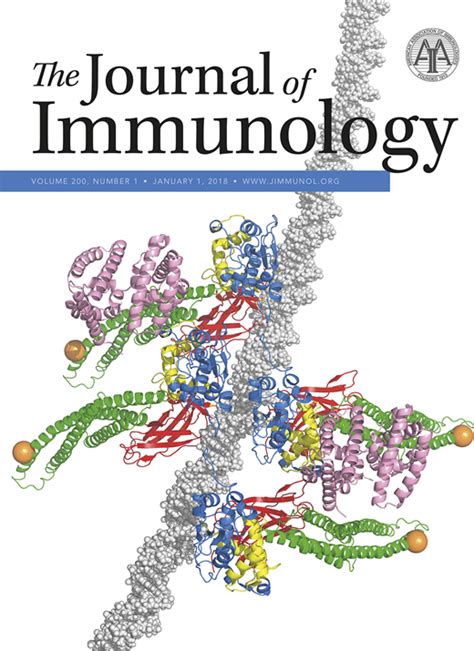 Il 33 Responsive Group 2 Innate Lymphoid Cells Are Regulated By Female