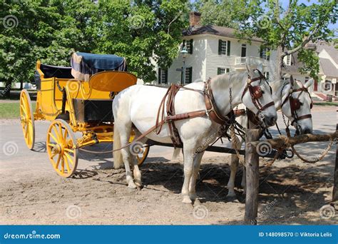 Uma Posição Puxado Por Cavalos Do Transporte Na Rua De Williamsburg