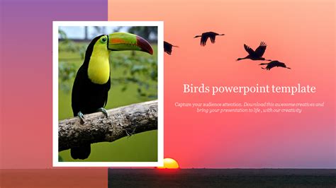 Download Birds Powerpoint Templates For Your Needs