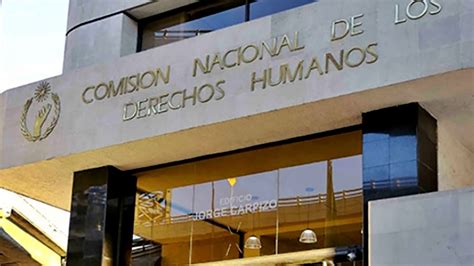 Cndh Sus Funciones Como Organismo Autónomo