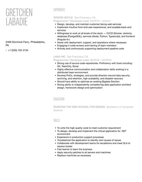 Programmer Developer Lead Resume Samples Velvet Jobs