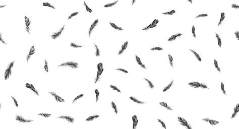 Feather Texture Vector Art, Icons, and Graphics for Free Download