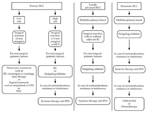 Simplified Algorithm For The Treatment Of Bcc Bcc Basal Cell