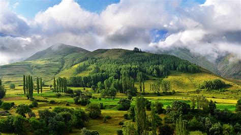 Royalty-Free photo: Green mountain near trees under blue sky during ...