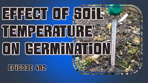 The Impact Of Soil Temperature On Seed Germination And Plant