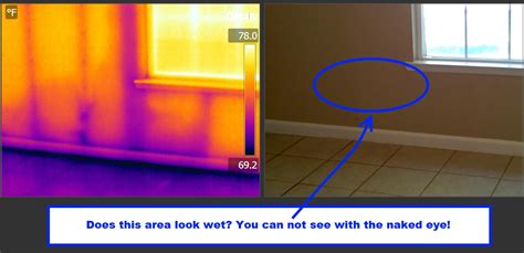 Infrared Home Inspection Picture Spec Rite Inspections