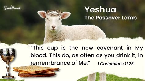 Yeshua The Passover Lamb YouTube