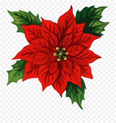 Christmas Front Flower Clipart Png U Clipartlycom Christmas