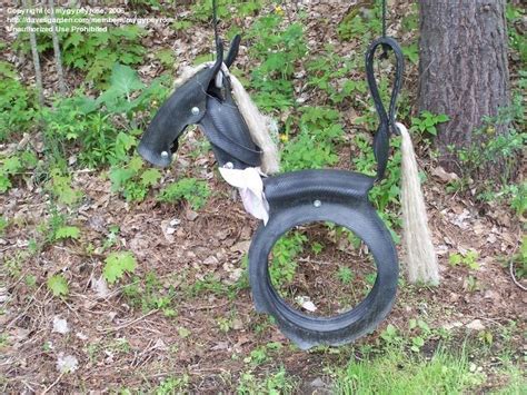 Beginner Gardening Pony Tire Swing Pattern 1 By Mygypsyrose