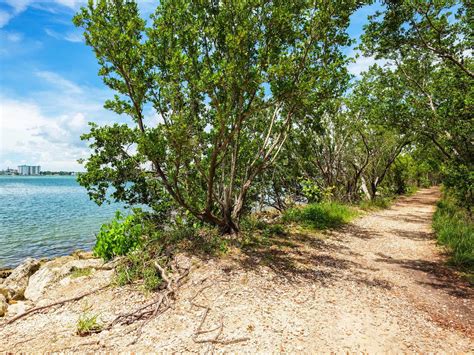 5 Best Trails and Paths for Hiking in Miami and Nearby