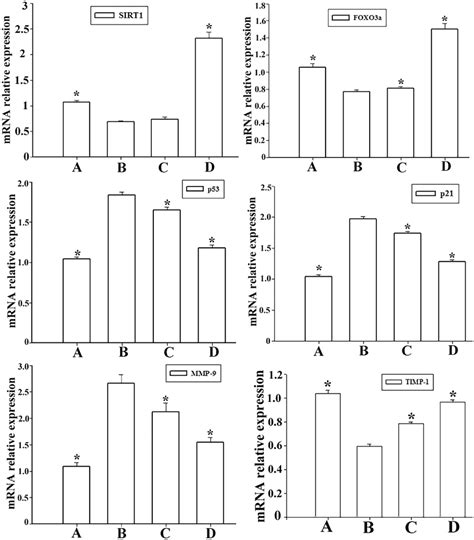 The Sirtuin Sirt Activator Srt Suppresses P Expression And