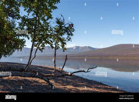 View of Lake McDonald in Montana Stock Photo - Alamy