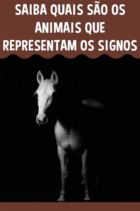 Animais Que Representam Cada Um Dos Signos Em Animais Signos Do