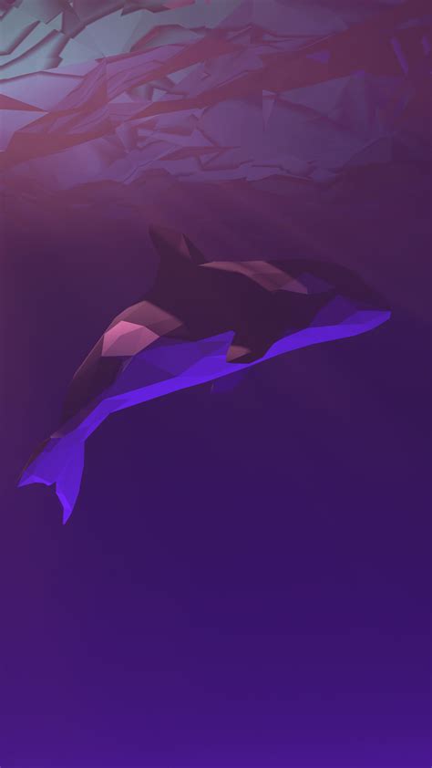 Killer Whale Wallpaper 4K