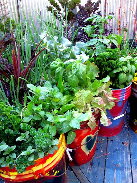 Container Garden Vegetable Combinations at Austin Tracy blog
