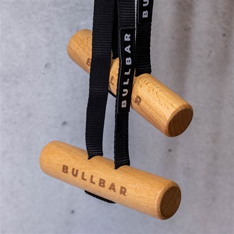 Neutral Grip Pull Up 10