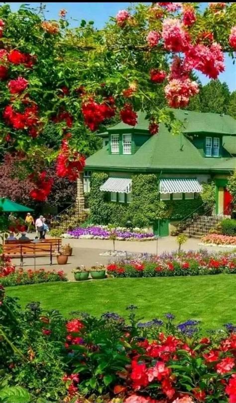صور الطبيعية الخلابه الحياة البرية